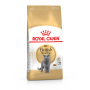 Royal Canin British Shorthair Adult – сухой корм для взрослых кошек породы британская короткошёрстная, 10 кг