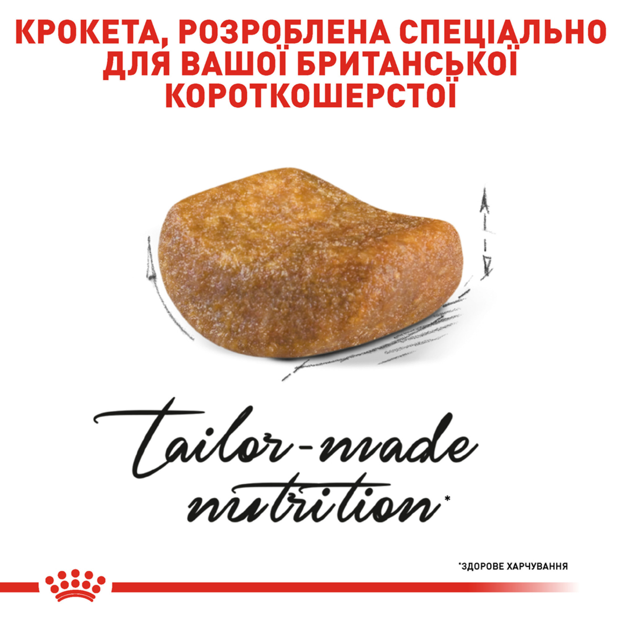 Royal Canin British Shorthair Adult – сухой корм для взрослых кошек породы британская короткошёрстная, 10 кг