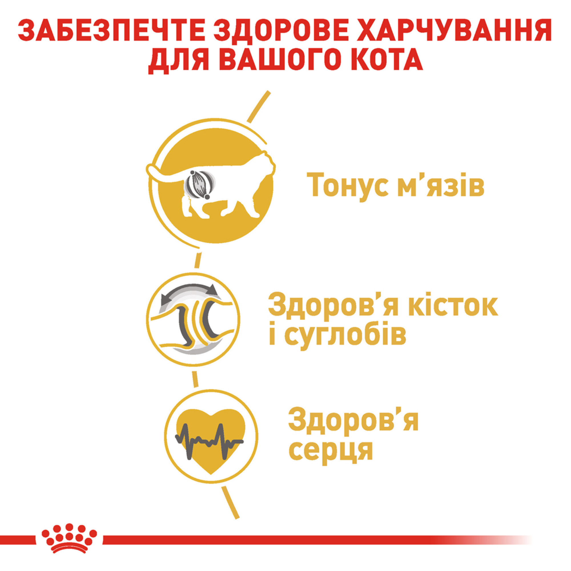 Royal Canin British Shorthair Adult – сухой корм для взрослых кошек породы британская короткошёрстная, 10 кг