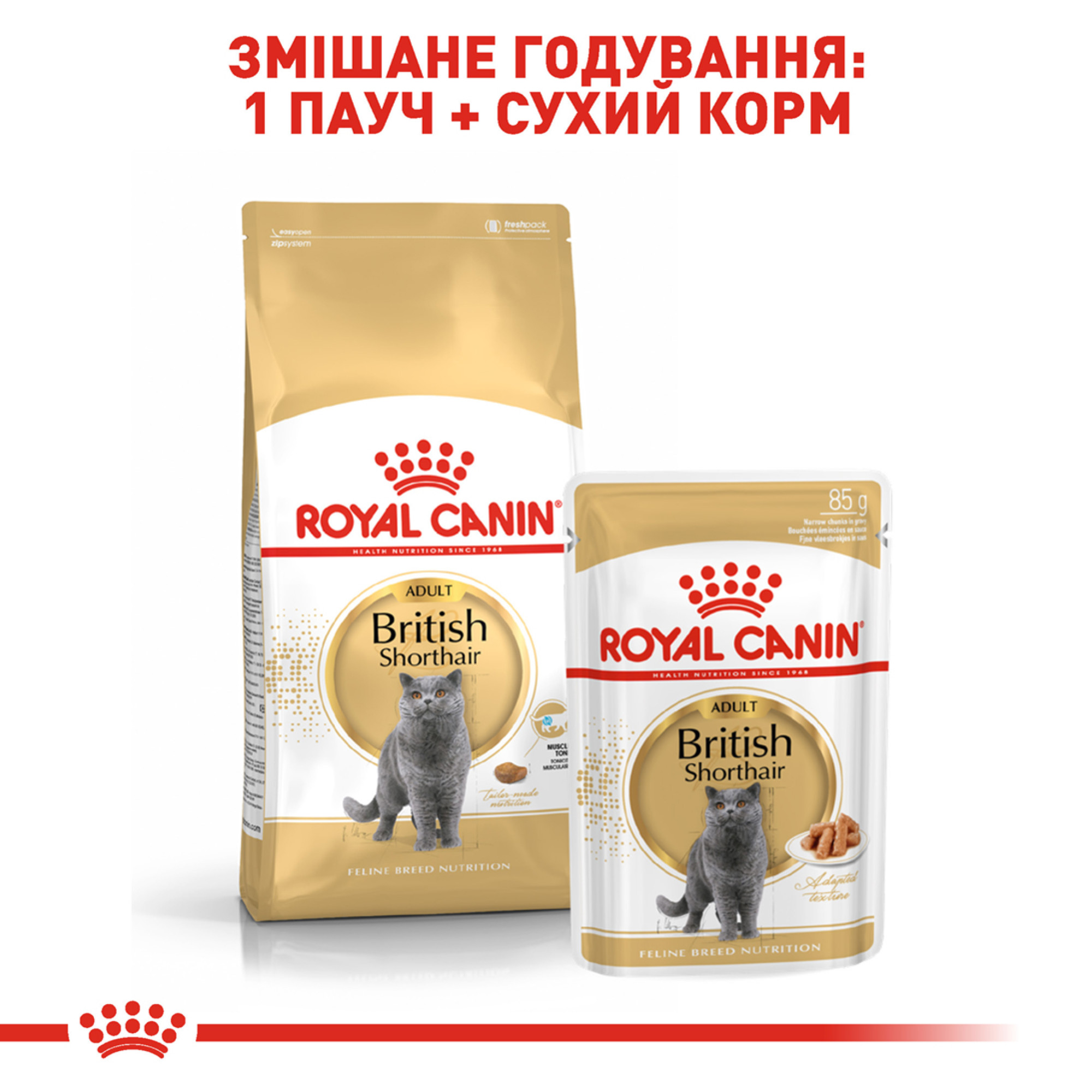 Royal Canin British Shorthair Adult – сухой корм для взрослых кошек породы британская короткошёрстная, 10 кг