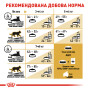 Royal Canin British Shorthair Adult – сухой корм для взрослых кошек породы британская короткошёрстная, 10 кг