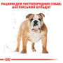 Royal Canin Bulldog Adult – сухий корм для дорослих собак породи бульдог, 12 кг