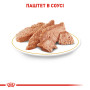 Royal Canin Chihuahua Adult Pâté – влажный корм (паштет) для взрослых собак породы чихуахуа (с 8 месяцев) 85 г