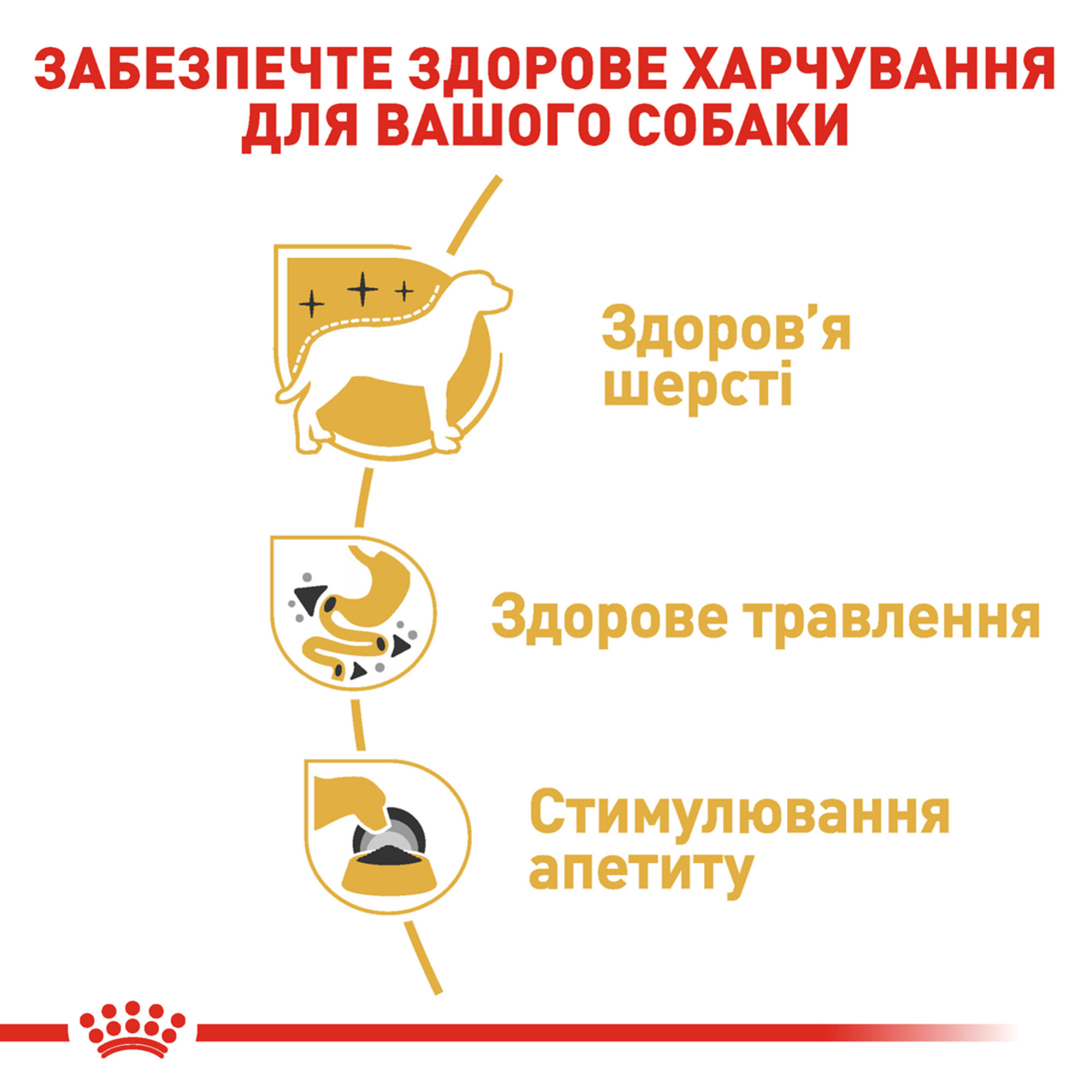 Royal Canin Chihuahua Adult Pâté – влажный корм (паштет) для взрослых собак породы чихуахуа (с 8 месяцев) 85 г