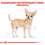 Royal Canin Chihuahua Adult – сухой корм для взрослых собак породы чихуахуа, 500 г