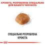 Royal Canin Chihuahua Adult – сухой корм для взрослых собак породы чихуахуа, 500 г