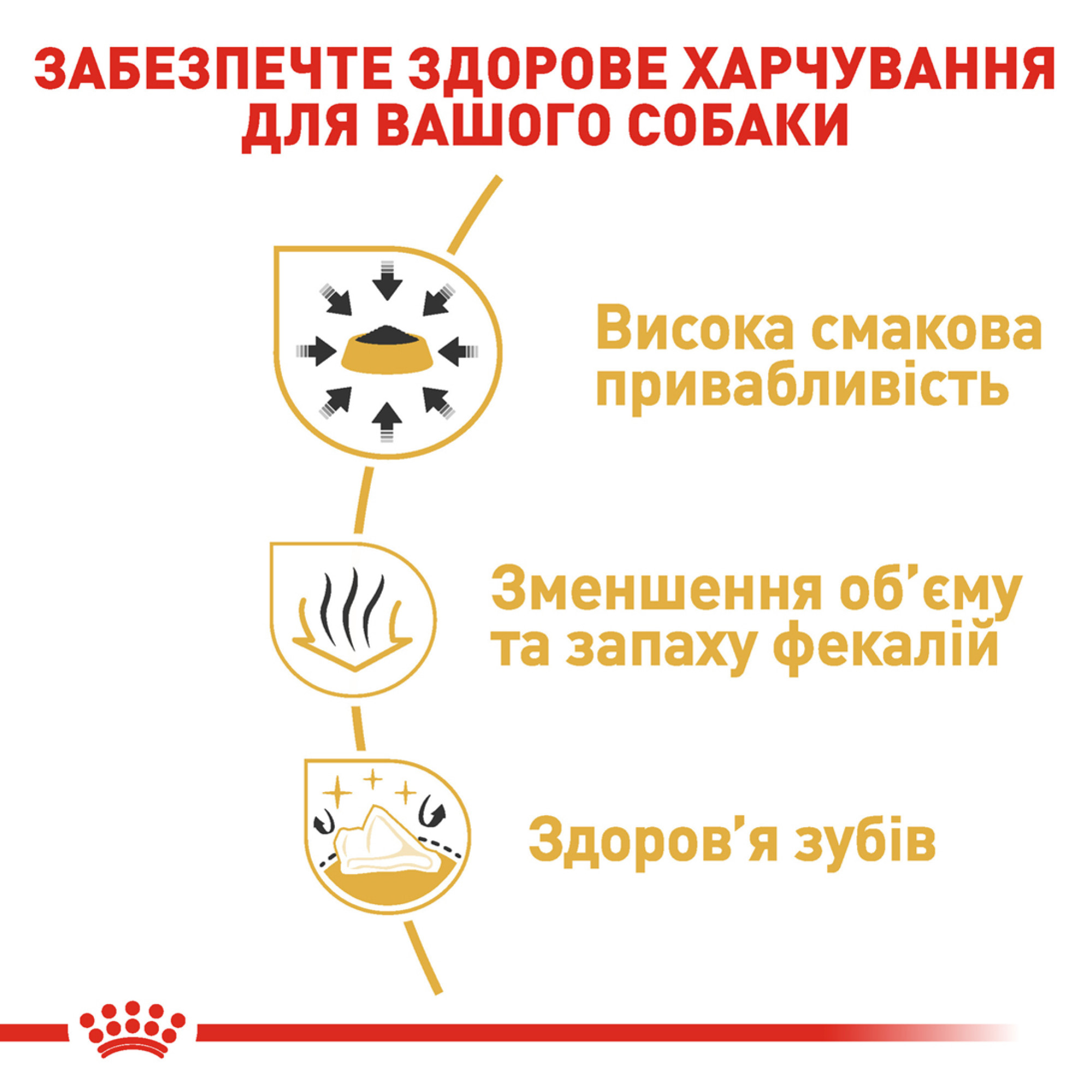 Royal Canin Chihuahua Adult – сухой корм для взрослых собак породы чихуахуа, 500 г