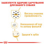 Royal Canin Chihuahua Adult – сухой корм для взрослых собак породы чихуахуа, 500 г