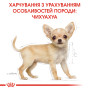 Royal Canin Chihuahua Puppy – сухий корм для цуценят породи чихуахуа, 1.5 кг
