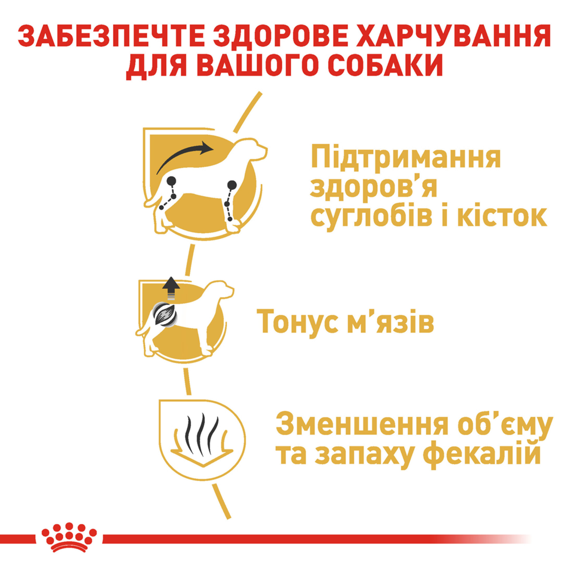 Royal Canin Dachshund Adult – сухой корм для взрослых собак породы такса, 1.5 кг