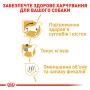 Royal Canin Dachshund Adult – сухой корм для взрослых собак породы такса, 1.5 кг