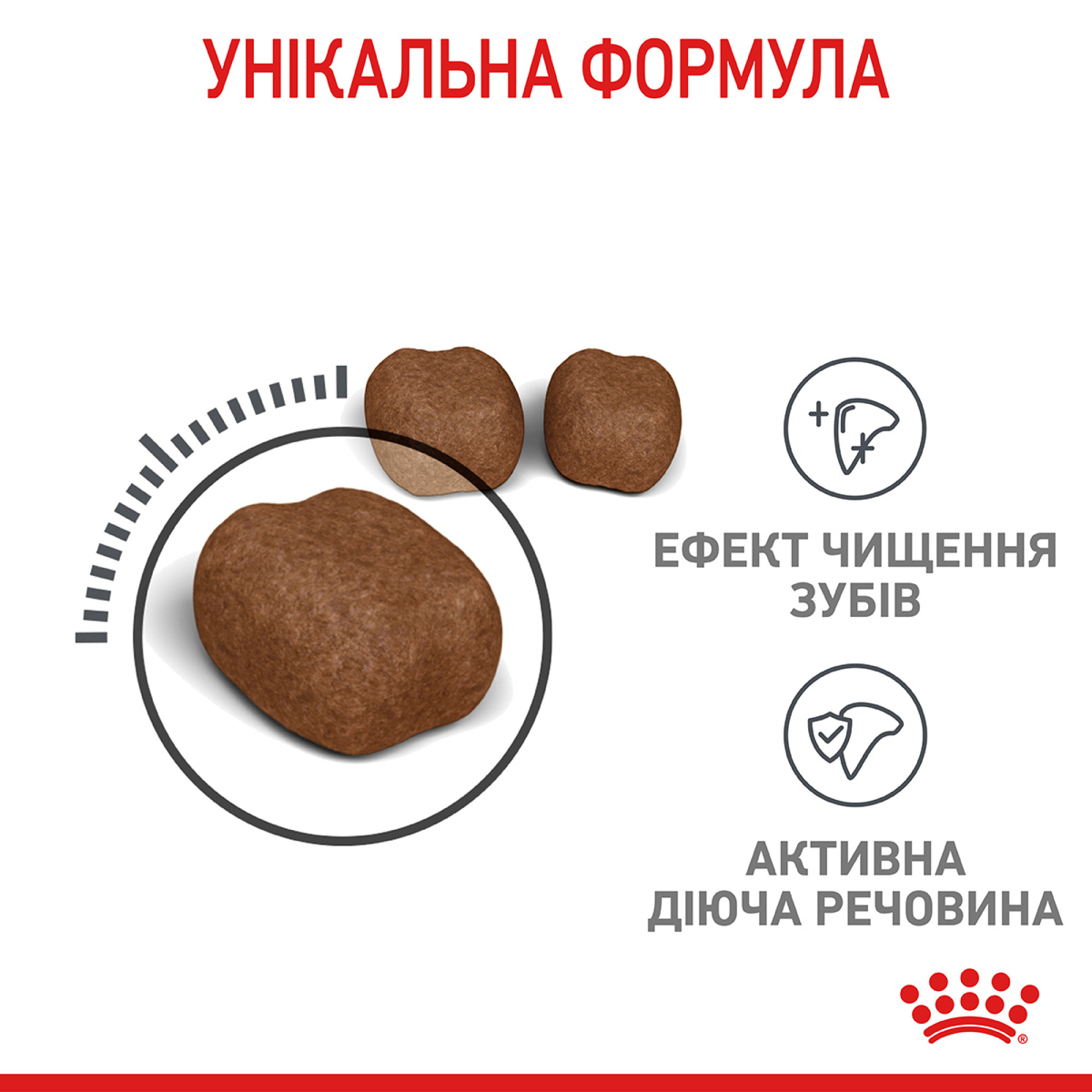 Royal Canin Dental Care Feline – сухий корм для дорослих котів для підтримки здоров’я зубів, 1.5 кг