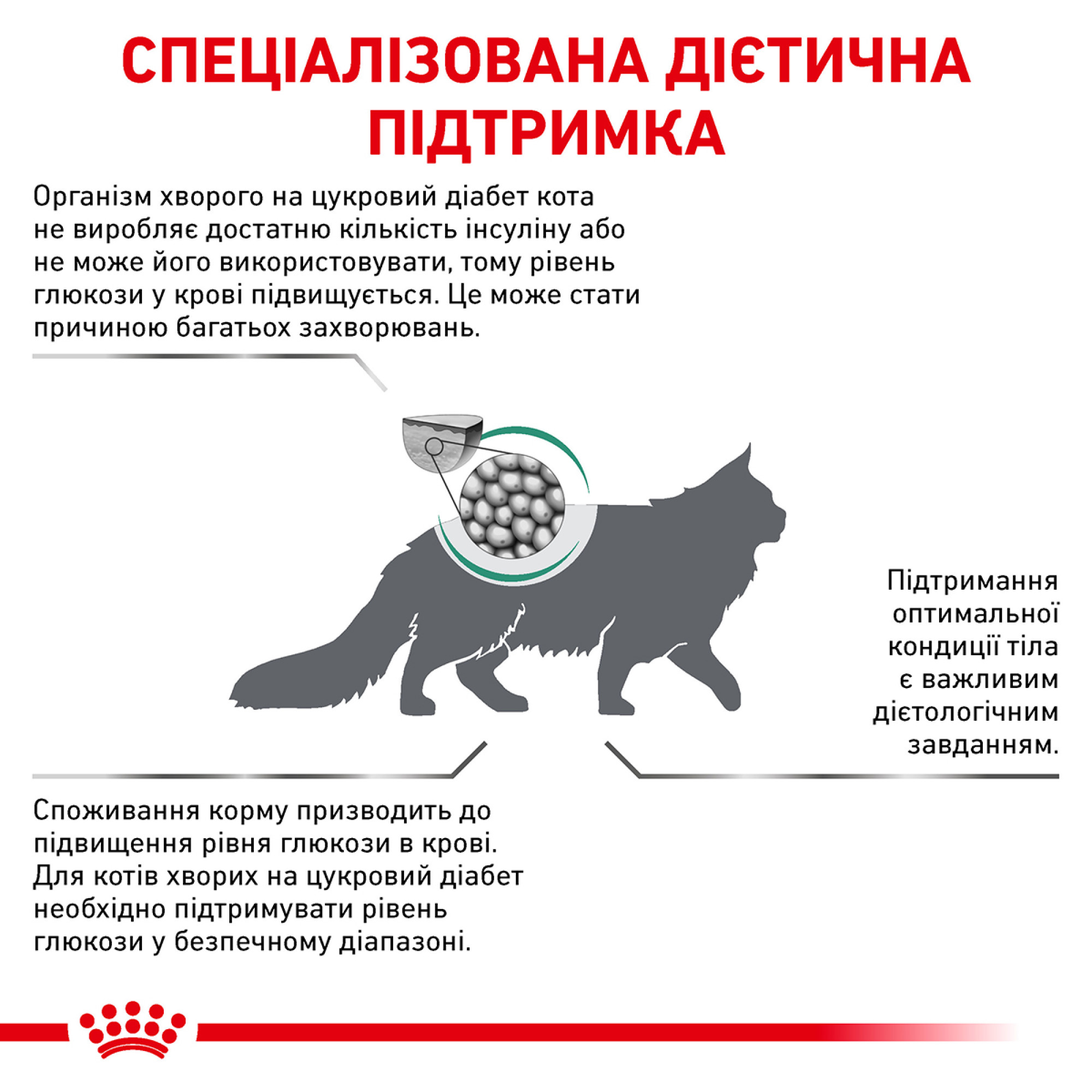 Royal Canin Diabetic Feline – сухий дієтичний корм для котів при цукровому діабеті, 1.5 кг