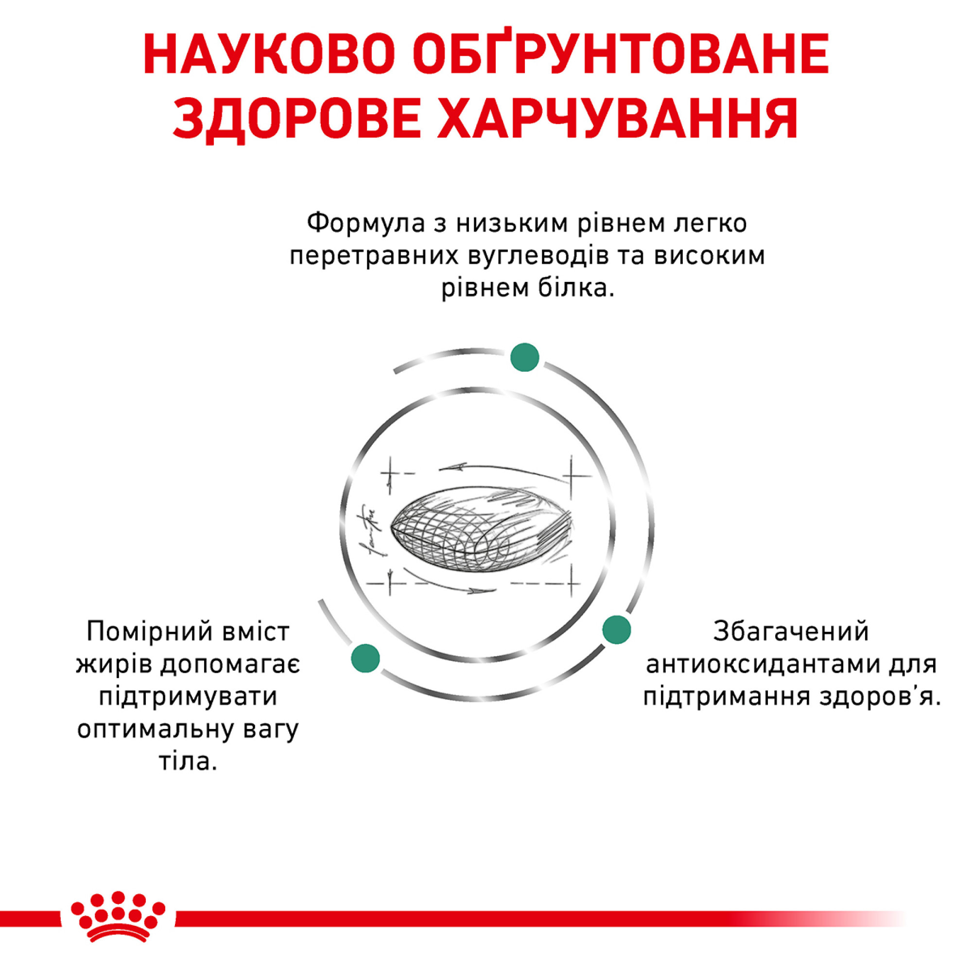Royal Canin Diabetic Feline – сухий дієтичний корм для котів при цукровому діабеті, 1.5 кг