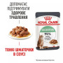 Royal Canin Digestive Care в соусі для котів, 85 г