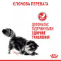 Royal Canin Digestive Care в соусі для котів, 85 г