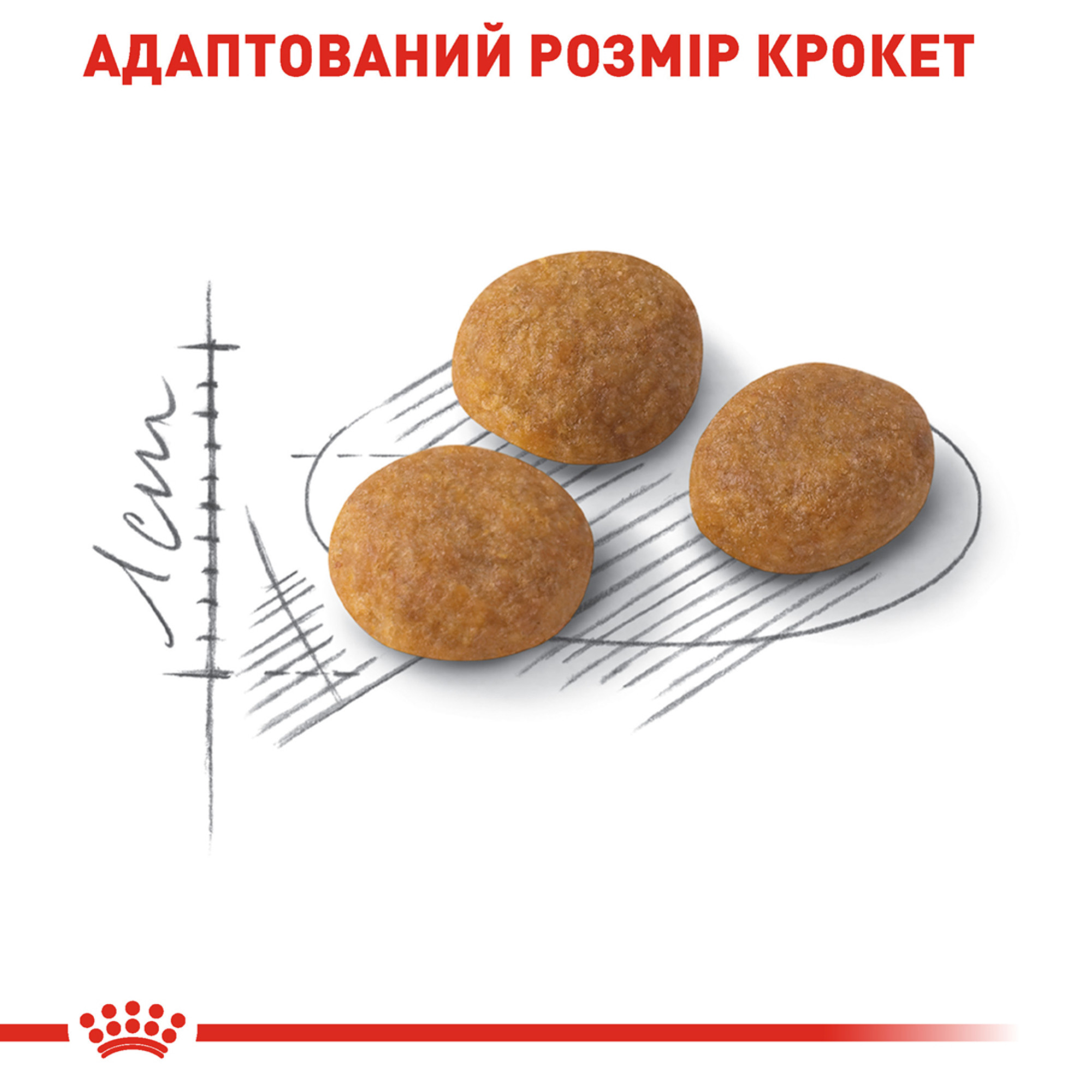 Royal Canin Exigent Aromatic Attraction – сухий корм для вибагливих котів, які віддають перевагу ароматній їжі, 2 кг