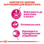 Royal Canin Exigent Protein Preference – сухий корм для вибагливих котів, чутливих до білкового складу, 2 кг