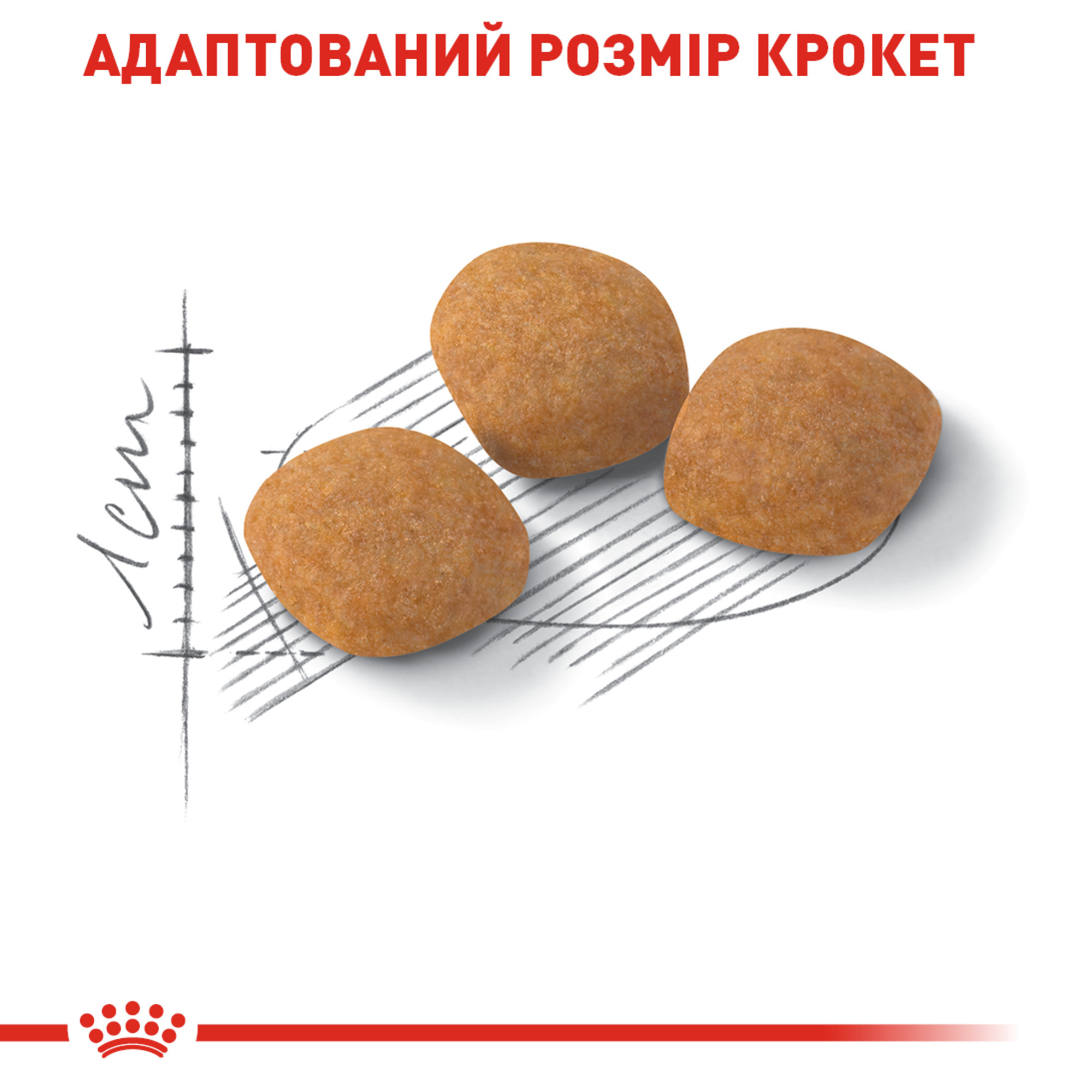 Royal Canin Exigent Protein Preference – сухий корм для вибагливих котів, чутливих до білкового складу, 2 кг