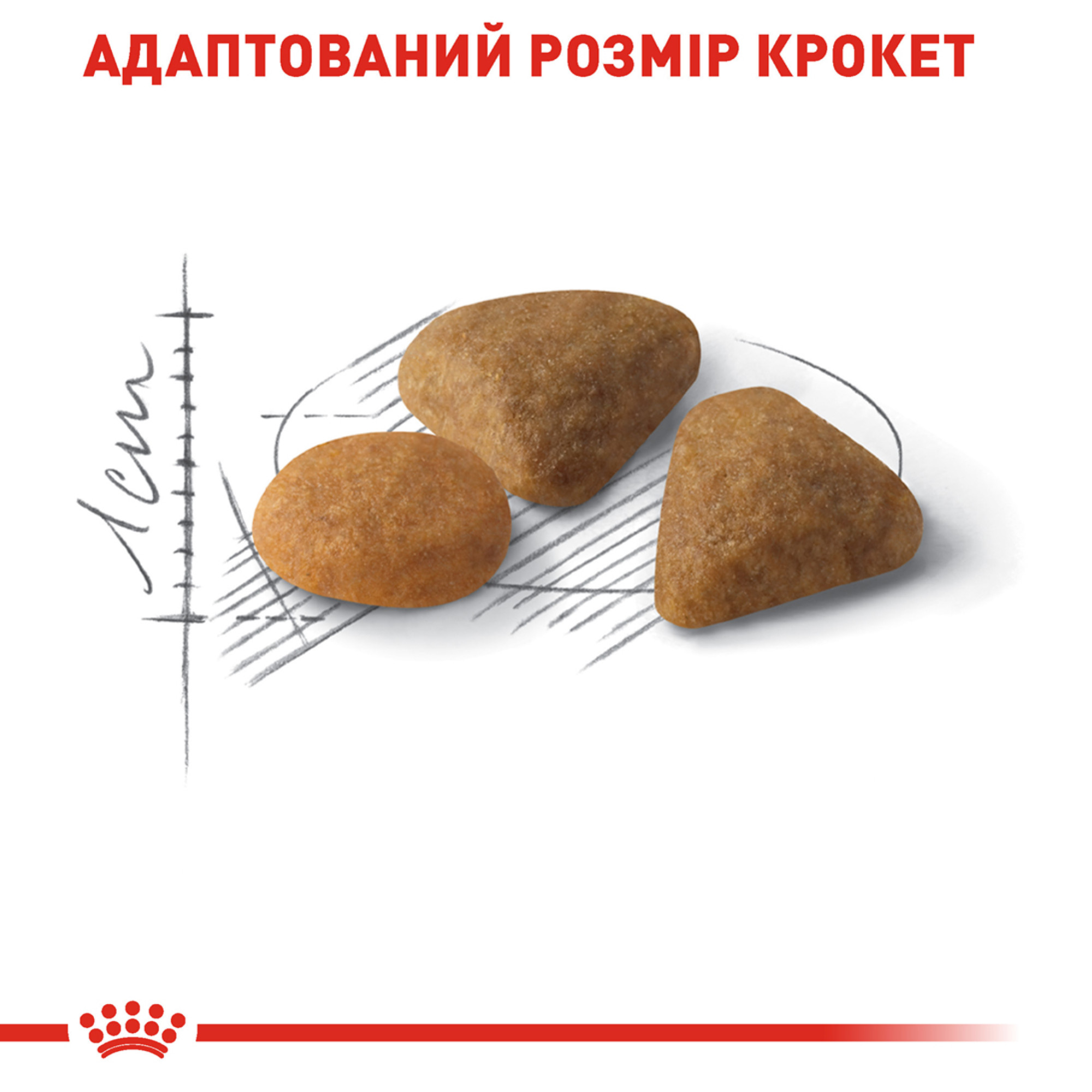 Royal Canin Exigent Savour Sensation – сухий корм для вибагливих котів із перевагою до смакових відчуттів, 10 кг