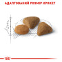 Royal Canin Exigent Savour Sensation – сухий корм для вибагливих котів із перевагою до смакових відчуттів, 10 кг