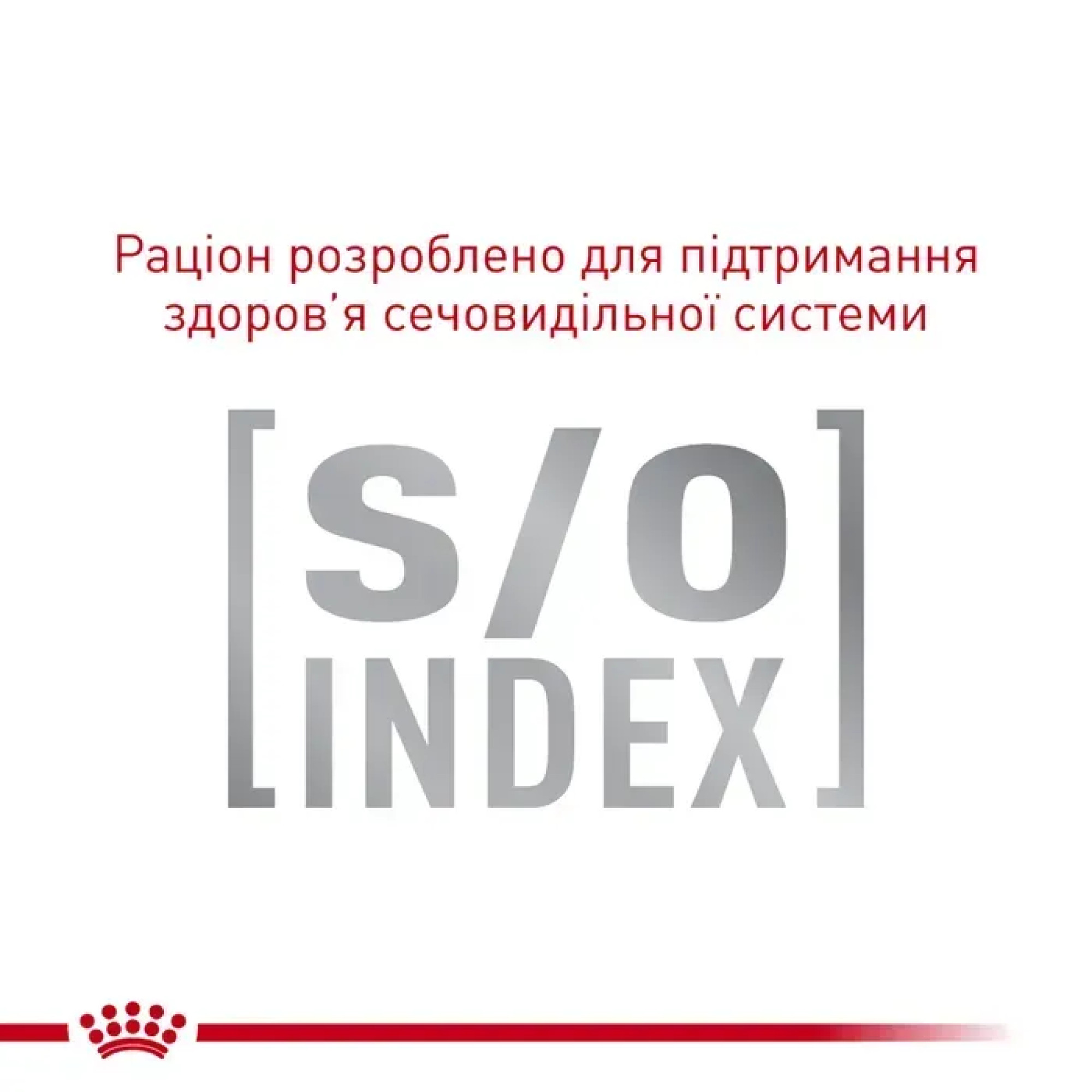 Royal Canin Gastrointestinal Fibre Response: Вологий корм для котів (шматочки в соусі), 85 г