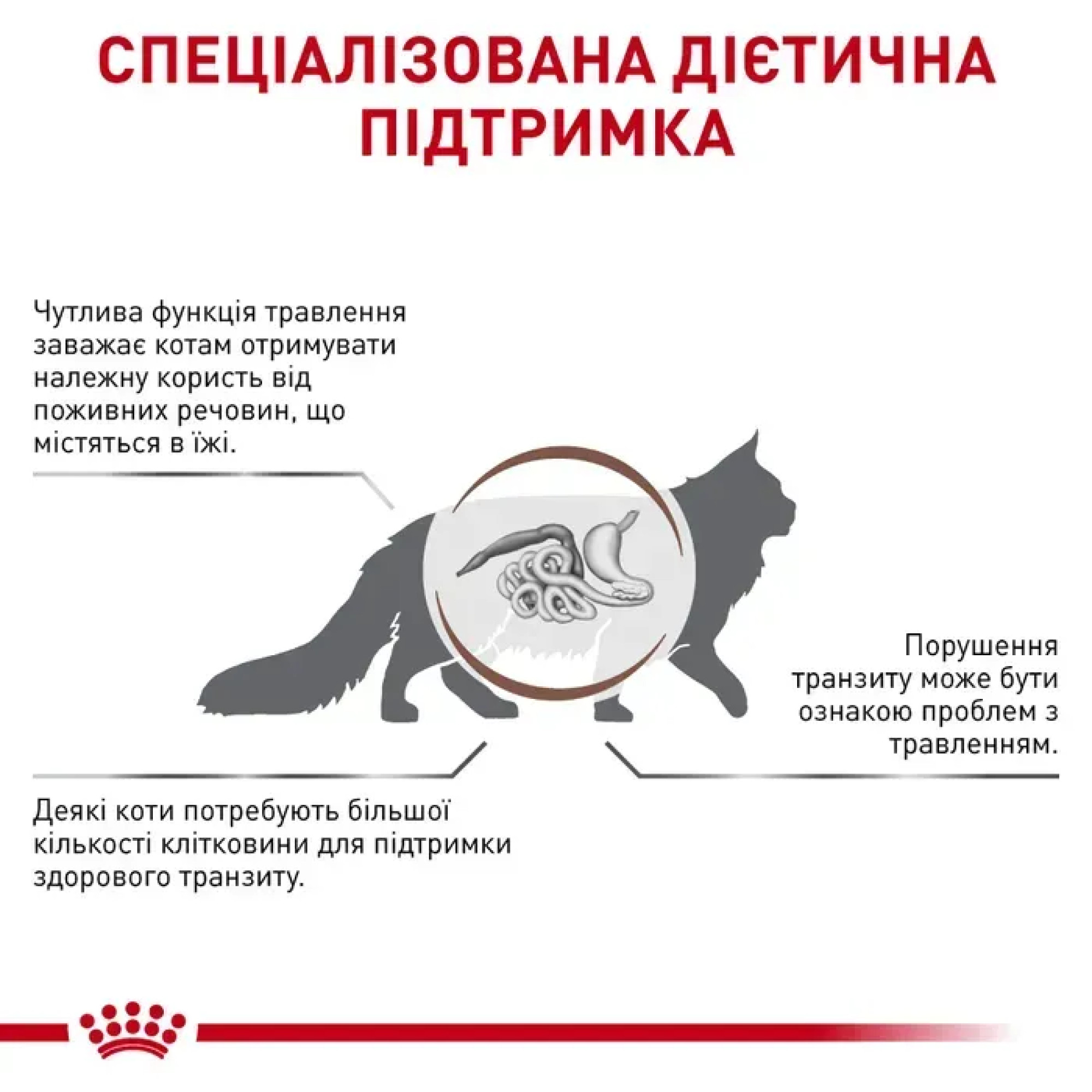 Royal Canin Gastrointestinal Fibre Response: Вологий корм для котів (шматочки в соусі), 85 г