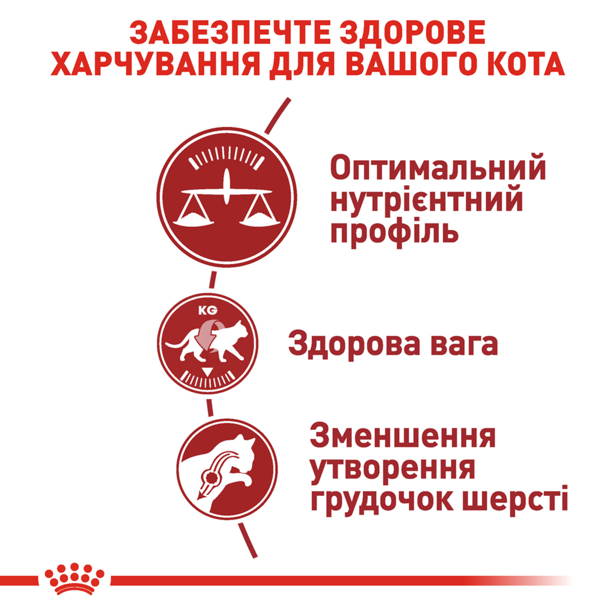 Royal Canin Fit 32 – сухий корм для активних дорослих котів, які мають доступ до вулиці, 4 кг