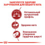 Royal Canin Fit 32 – сухий корм для активних дорослих котів, які мають доступ до вулиці, 4 кг