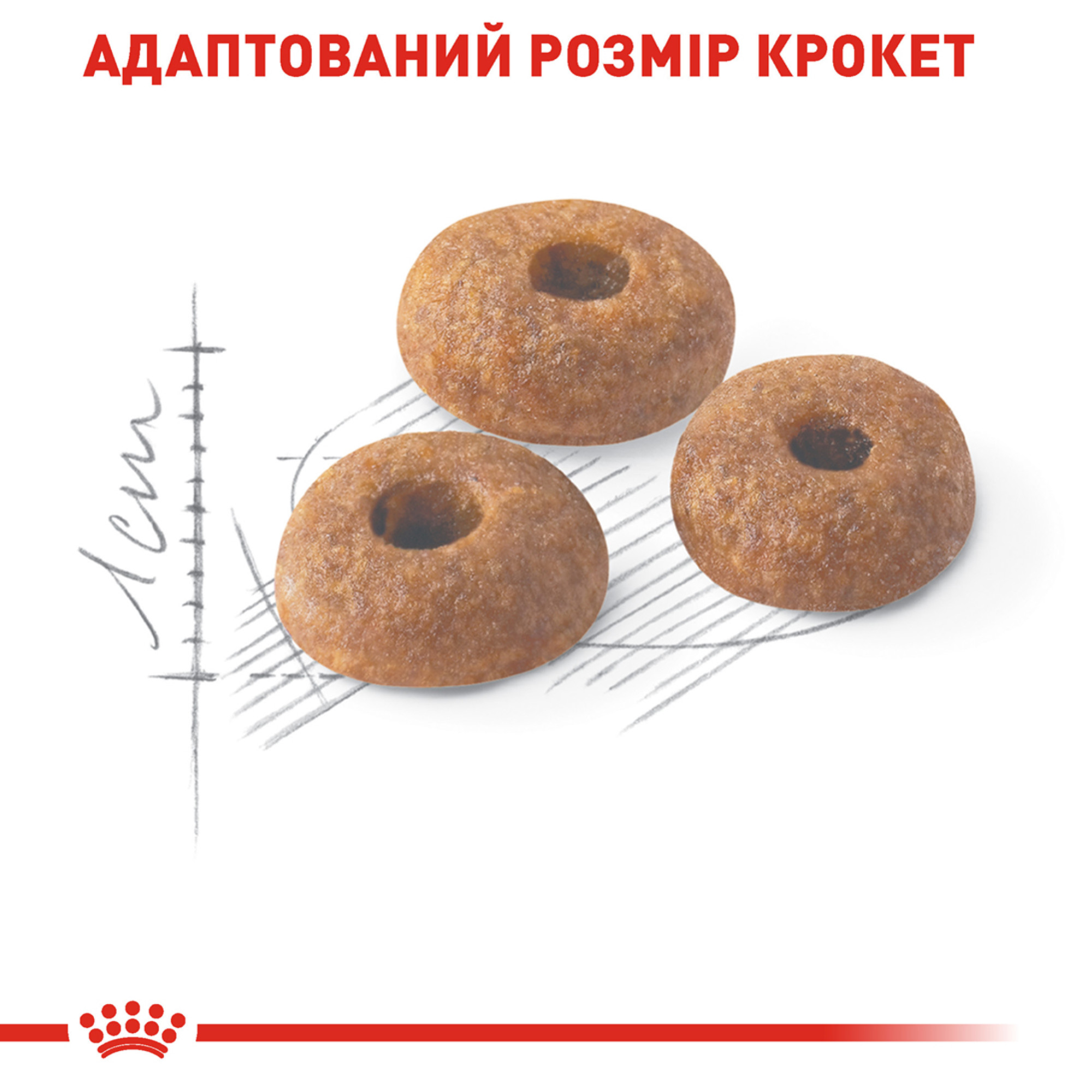 Royal Canin Fit 32 – сухий корм для активних дорослих котів, які мають доступ до вулиці, 4 кг