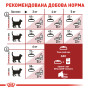 Royal Canin Fit 32 – сухий корм для активних дорослих котів, які мають доступ до вулиці, 4 кг