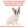 Royal Canin French Bulldog Puppy – сухой корм для щенков породы французский бульдог, 1 кг