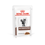 Royal Canin Gastrointestinal Feline Pouches – влажный диетический корм в паучах для кошек с нарушением пищеварения, 85 г