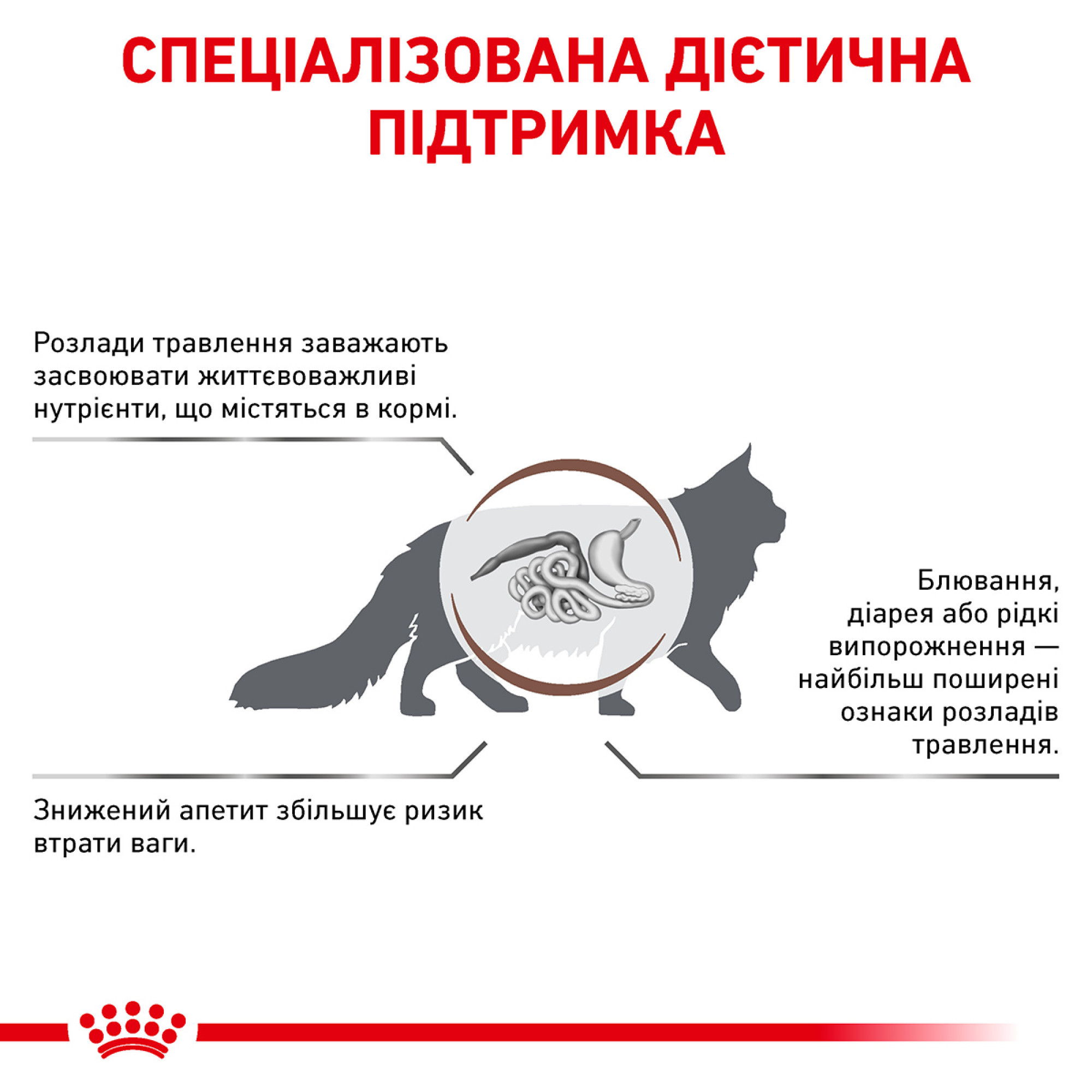 Royal Canin Gastrointestinal Feline – сухий дієтичний корм для котів із порушенням травлення, 2 кг