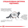 Royal Canin Gastrointestinal Feline – сухий дієтичний корм для котів із порушенням травлення, 2 кг