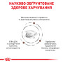 Royal Canin Gastrointestinal Feline – сухий дієтичний корм для котів із порушенням травлення, 2 кг