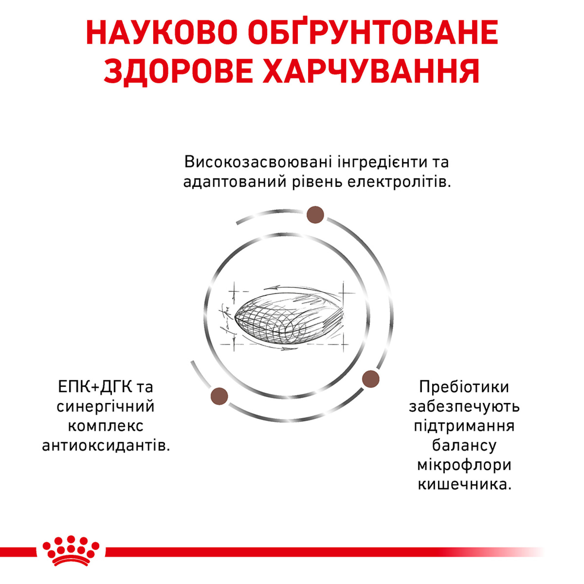 Royal Canin Gastrointestinal Low Fat Canine Cans – диетический влажный корм с пониженным содержанием жира для собак с заболеваниями ЖКТ, 420 г