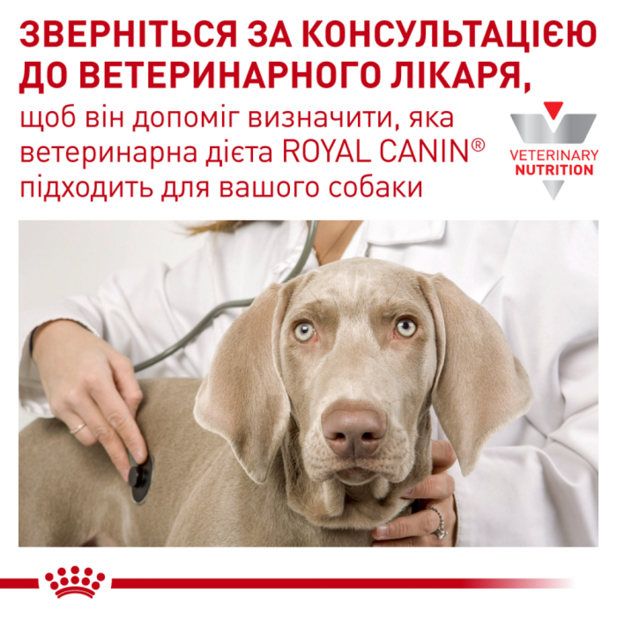 Royal Canin Gastrointestinal Low Fat Small Dog, 1.5 кг