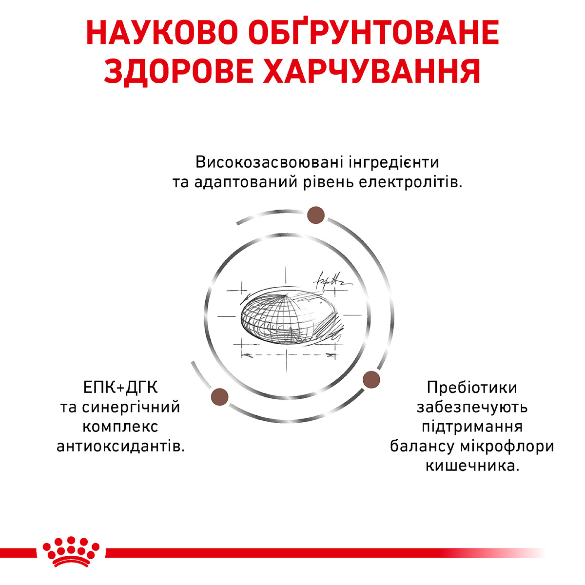 Royal Canin Gastrointestinal Moderate Calorie Feline – сухий дієтичний корм для котів із травними розладами та схильністю до набору ваги, 2 кг
