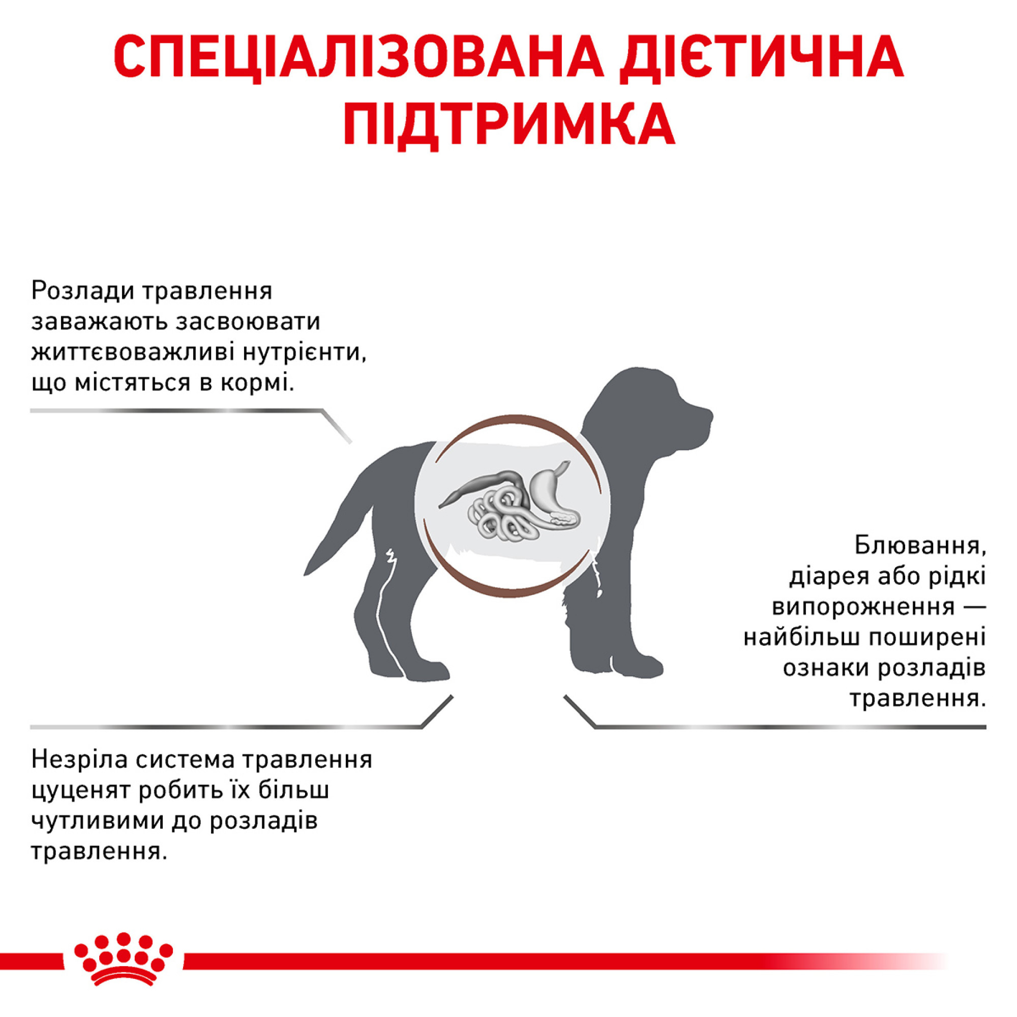 Royal Canin Gastrointestinal Puppy – диетический сухой корм для щенков с нарушениями пищеварения и заболеваниями ЖКТ, 1 кг