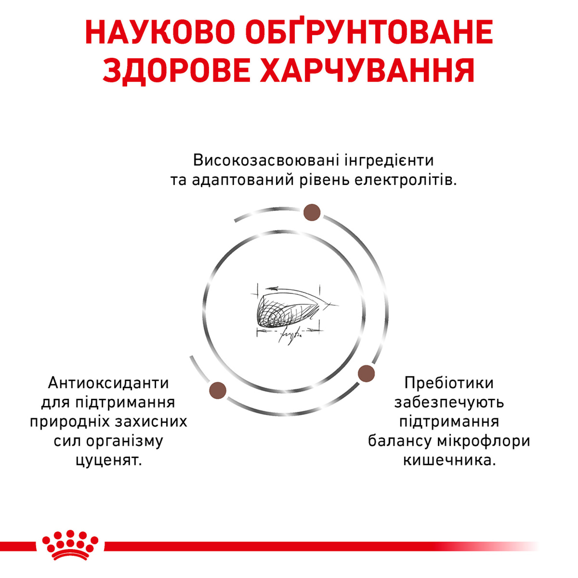 Royal Canin Gastrointestinal Puppy – диетический сухой корм для щенков с нарушениями пищеварения и заболеваниями ЖКТ, 1 кг