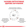 Royal Canin Gastrointestinal Puppy Cans – диетический влажный корм (паштет) для щенков с расстройствами пищеварения, 195 г
