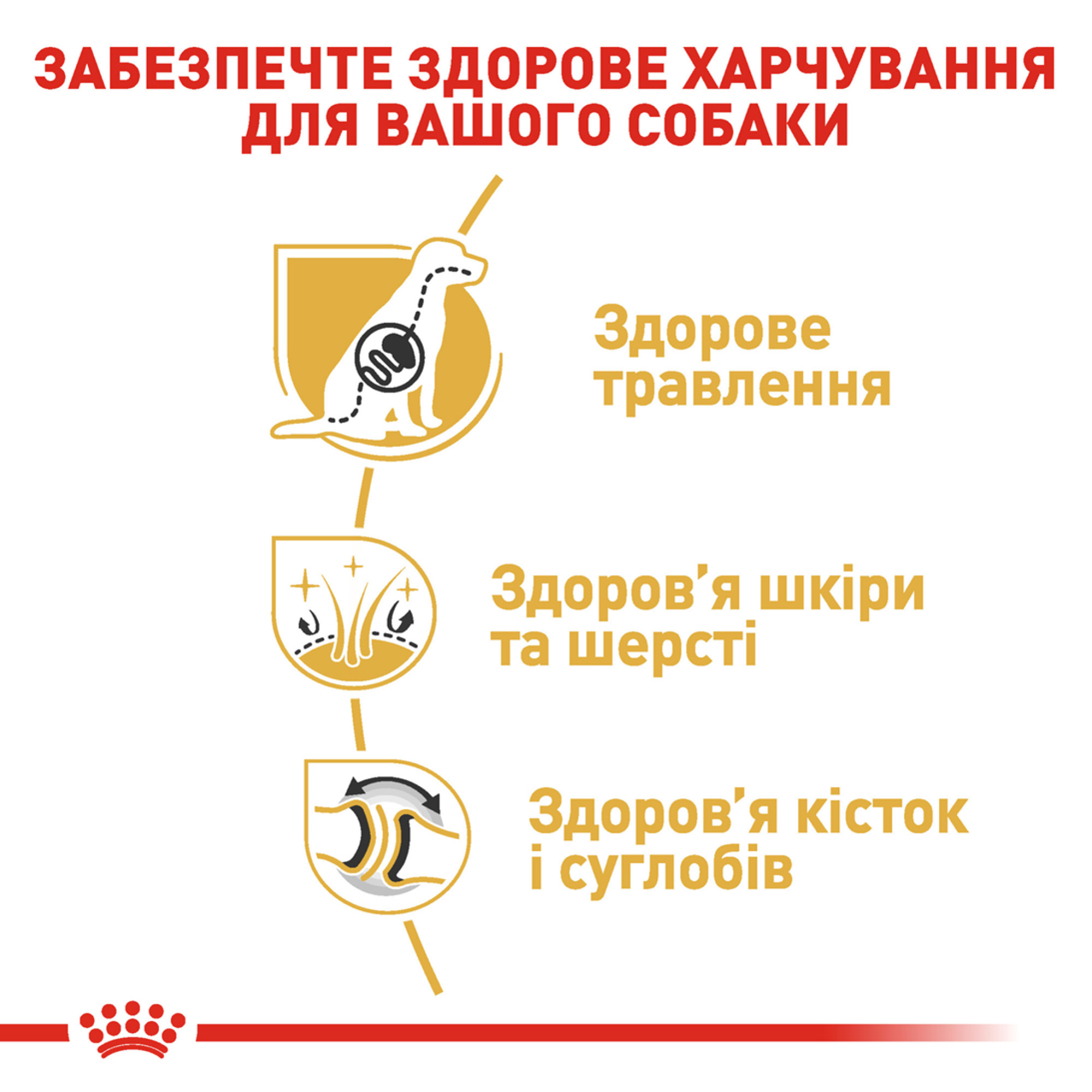 Royal Canin German Shepherd Adult – сухой корм для взрослых собак породы немецкая овчарка, 11 кг