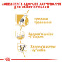 Royal Canin German Shepherd Adult – сухой корм для взрослых собак породы немецкая овчарка, 11 кг
