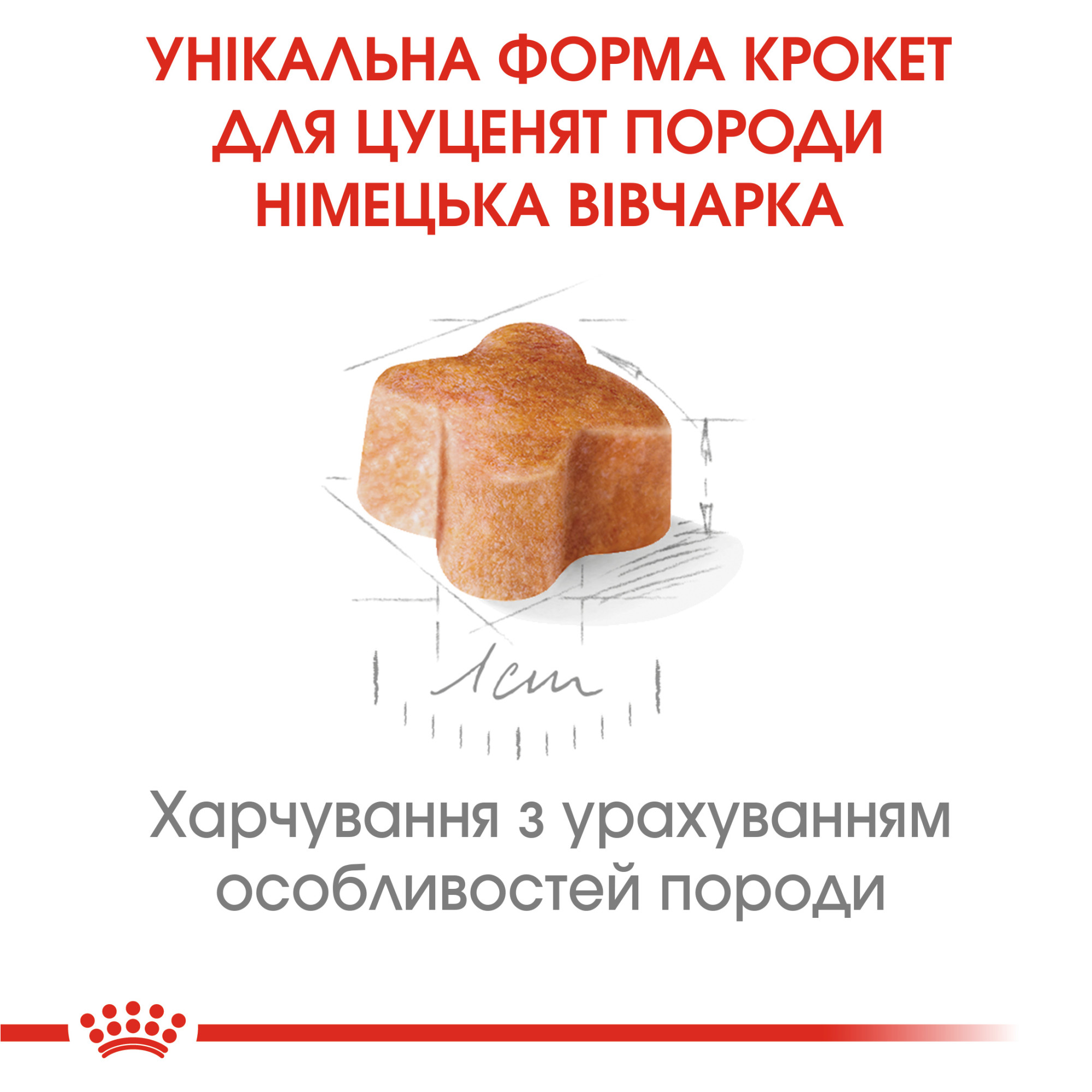 Royal Canin German Shepherd Puppy – сухий корм для цуценят породи німецька вівчарка, 12 кг