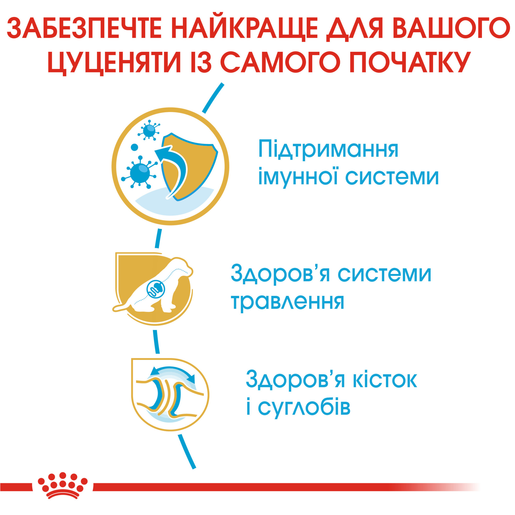 Royal Canin German Shepherd Puppy – сухий корм для цуценят породи німецька вівчарка, 12 кг