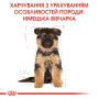 Royal Canin German Shepherd Puppy – сухий корм для цуценят породи німецька вівчарка, 12 кг