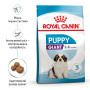 Royal Canin Giant Puppy для цуценят гігантських порід, 1 кг