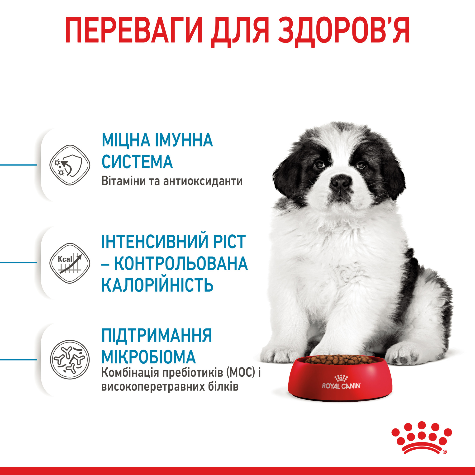 Royal Canin Giant Puppy для цуценят гігантських порід, 1 кг