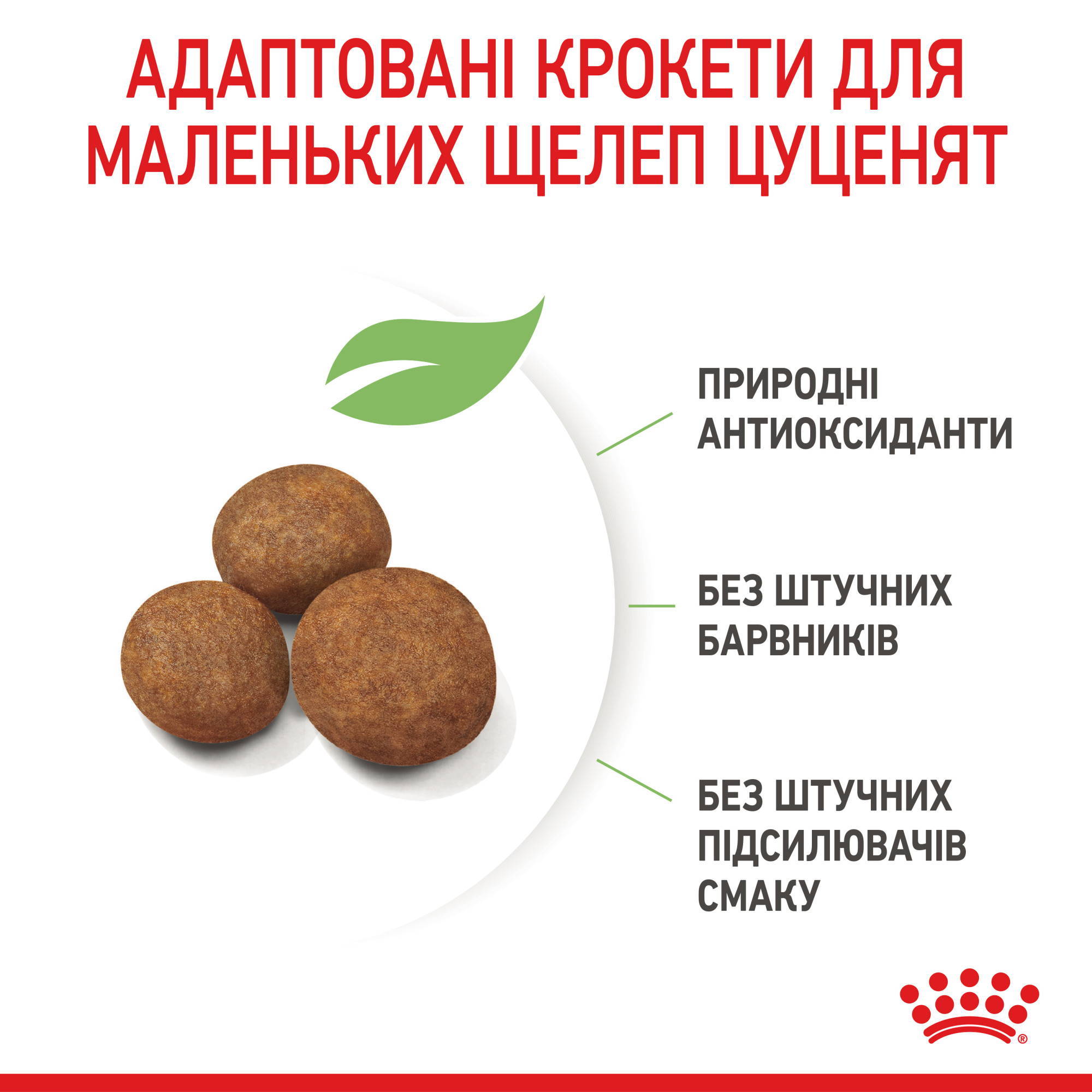 Royal Canin Giant Puppy для цуценят гігантських порід, 1 кг